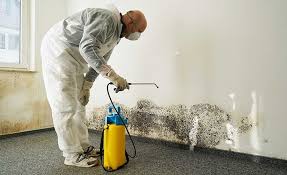 Best Forensic Mold Investigation  in USA